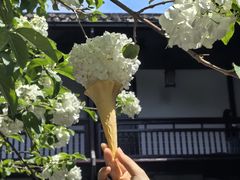 -何园