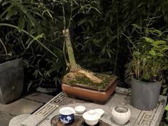 -王府茶楼茶宴·创意菜(朝阳公园店)