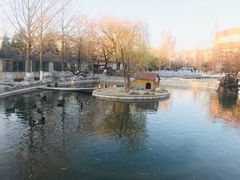 -北京市海淀外国语实验学校