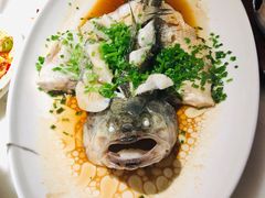 -佬肥猫(国华广场店)