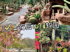 -隐溪茶馆(静安寺店)