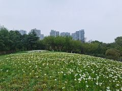 -白塘生态植物园
