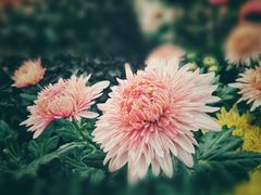 -汇龙潭