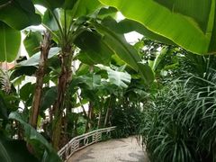 -石家庄市植物园