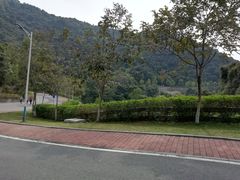 -火炉山森林公园