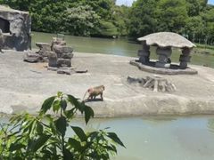 -宁波野生动物园