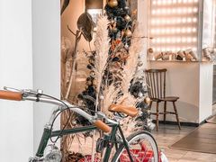 -Dinoo 片场咖啡(酒仙桥店)