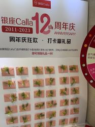 -银座Calla日式美容沙龙