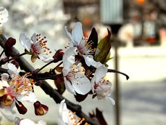 -唐城墙遗址公园