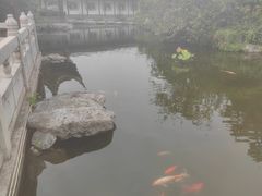 -梅园