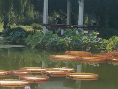 -国家植物园南园