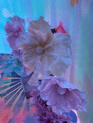 -超级奈尔宝SUPER NEOBIO(杭州星光店)