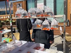 -辛庄国际文化艺术区
