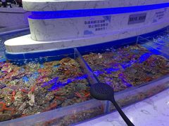 水产区-澜悦港海鲜体验主题餐厅