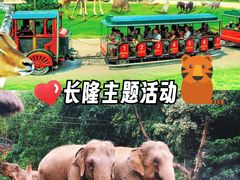 -广州长隆野生动物世界