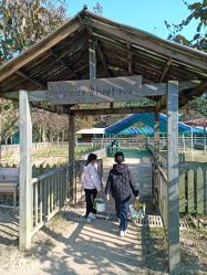 -阿菠萝小猪农场·萌宠乐园·亲子游·研学