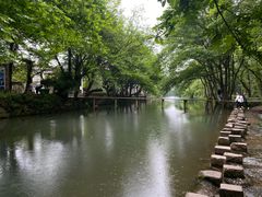 -诗莉莉·厚德堂私房菜