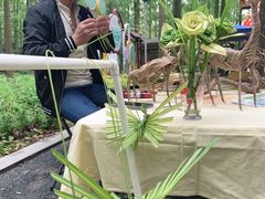 -东平国家森林公园