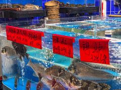 -明本湛江鸡•海鲜小厨(陈家祠店)