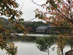 -白马涧龙池景区