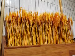 -嘉州北味春老烧麦·面食(叮咚街店)