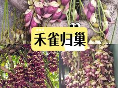 -文华公园(禅城区)