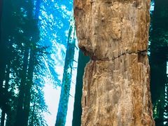 -延庆地质公园博物馆