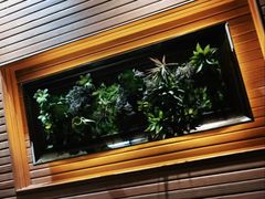 -前海沿·青岛菜(大拇指广场石老人店)