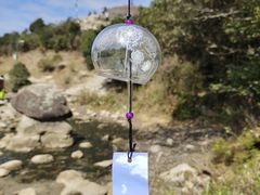 -梧桐山风景名胜区