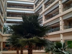 -青岛景园假日酒店