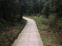 -桃花岭景区