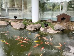 -罗红摄影艺术馆