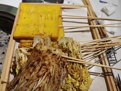 -山野的朋友露营炭火烤肉