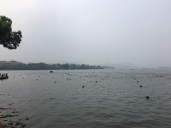-杭州君悦酒店