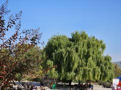 -北京西山国家森林公园