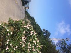 iphone_upload_pic-东澳岛