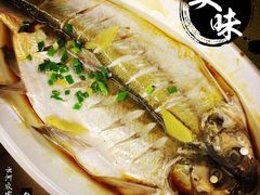太湖白鱼-云河农家乐饭店(福禄缘树山店)