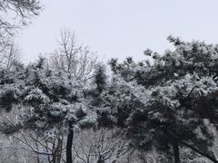 -丰台花园