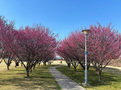 -长广溪湿地公园