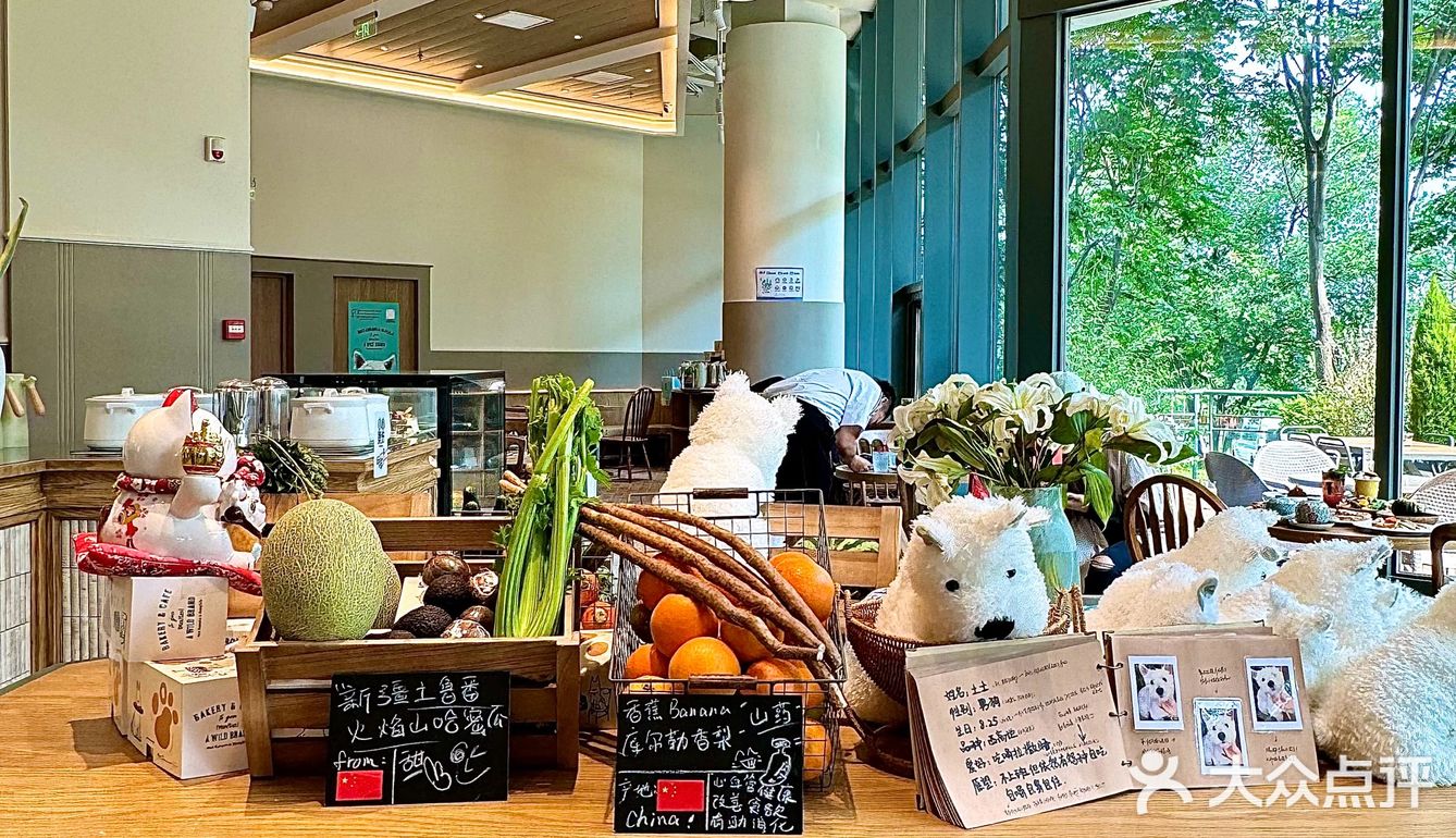 [加油]南京新店🍃可可爱爱的餐厅+1111