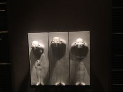 -上海柏悦酒店