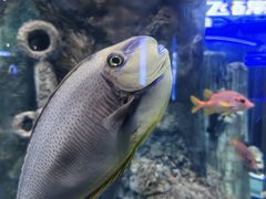 -福州罗源湾海洋世界旅游区