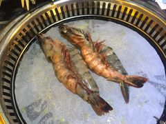 -熊出没日本烧肉放题