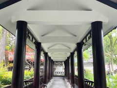 -墨池公园