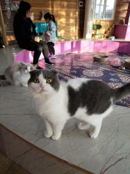 -萌宠亲子动物乐园(槐房万达店)