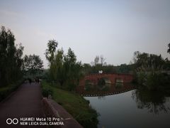 -白鹭湾湿地公园