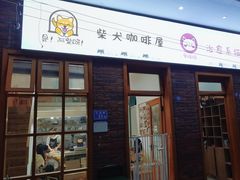 -是阿柴呀！柴犬咖啡·爱喵喵猫咖