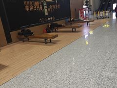 -青岛胶东国际机场