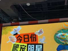 -上海大自然野生昆虫馆(东方明珠·爬宠昆虫探索中心)
