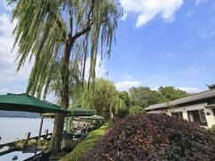 -杭州西湖柳莺里酒店·闻莺厅